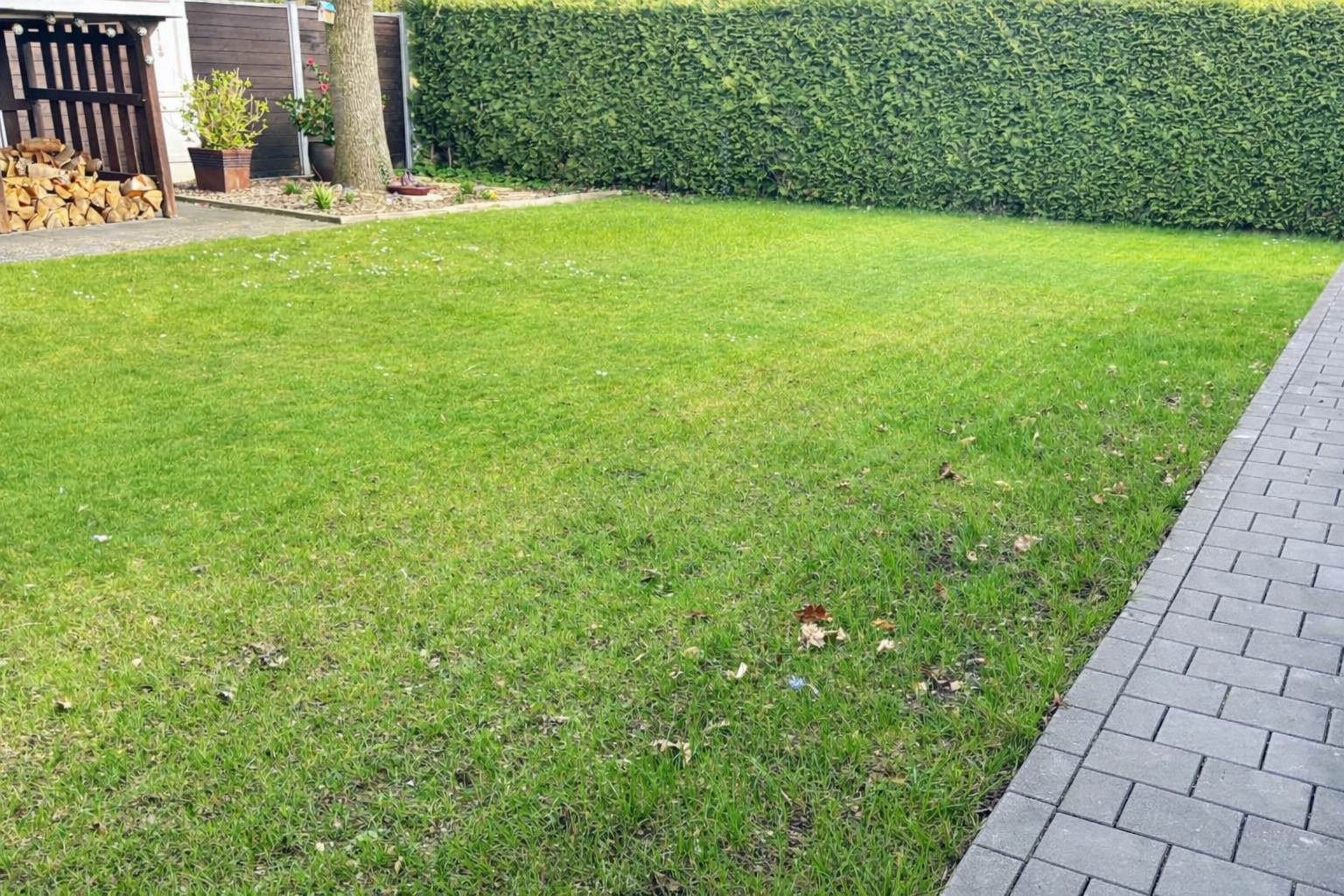 eufy E15 Rasenergebnis – Saisonstart Anfang April, erste Mahd nach dem Winter